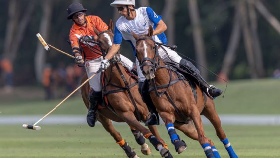 WhatsApp Image 2023-02-17 at 17.12.41