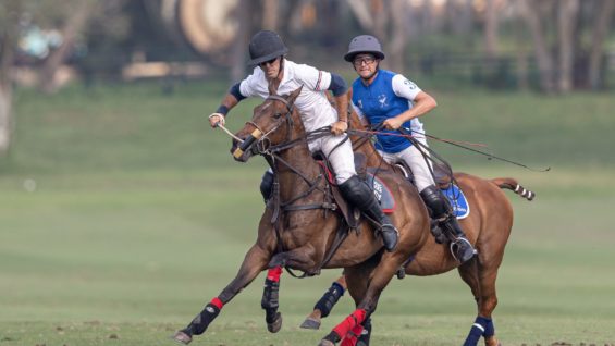 WhatsApp Image 2023-02-18 at 17.19.09