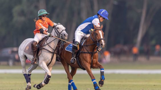 WhatsApp Image 2023-02-25 at 17.13.50