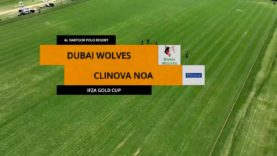 IFZA Gold Cup – Dubai Wolves vs. Clinova