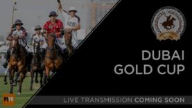 IFZA Gold Cup – UAE vs Ghantoot Polo