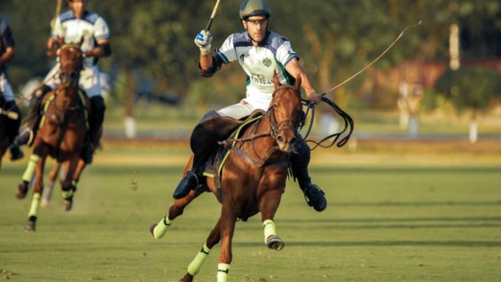 WhatsApp Image 2023-03-03 at 23.39.26