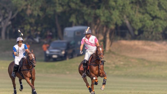 WhatsApp Image 2023-03-04 at 20.52.50