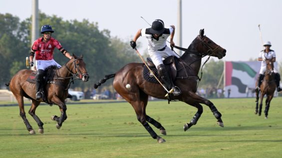 WhatsApp Image 2023-03-08 at 21.34.14