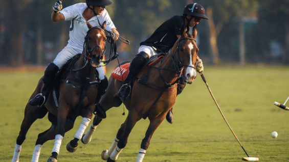 WhatsApp Image 2023-03-10 at 13.26.44