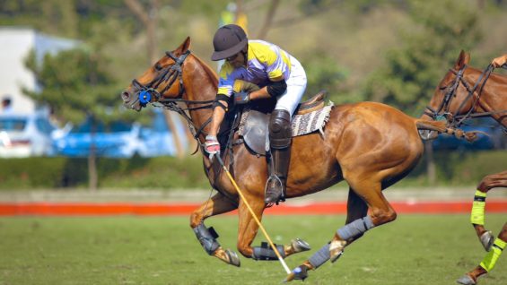 WhatsApp Image 2023-03-10 at 20.23.08