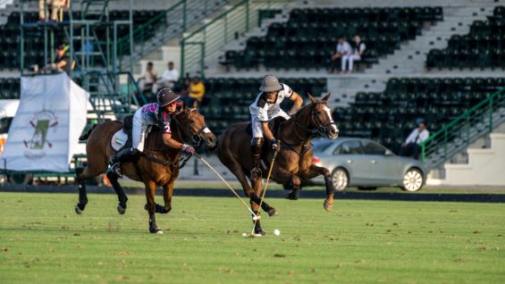 WhatsApp Image 2023-03-11 at 21.04.06