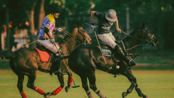 WhatsApp Image 2023-03-14 at 20.18.45