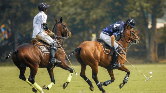 WhatsApp Image 2023-03-15 at 20.37.39