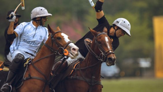 WhatsApp Image 2023-03-17 at 10.47.26 PM