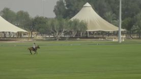 HH President of UAE Cup – Ghantoot vs. Habtoor