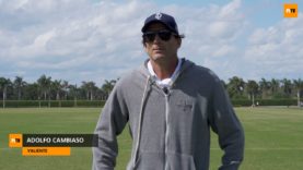 adolfito semi gold cup