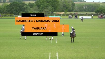 Dollar Cup – Bamboleo Madams Farm vs Yaguara