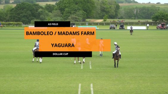 Dollar Cup – Bamboleo Madams Farm vs Yaguara