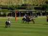 Goles Final Iberian Polo Tour 2023 en Dos Lunas