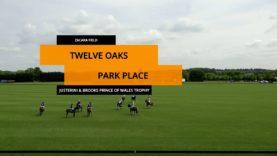 Prince of Wales 2023 – Park Place vs Twelve Oaks