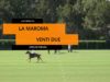 Open de España – La Maroma v Ventidue