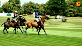 British Open 2023  – Highlights – Park Place vs Black Bears