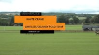 Harrison Cup 2023 – White Crane vs Limitless/Delaney Polo Team