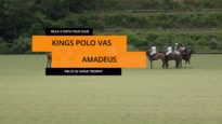 Palio di Siena Trophy – Kings Polo VAS vs Amadeus
