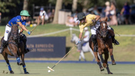 780c8da1-7bbf-4935-a566-c8df72154d87