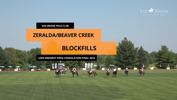 Captura de pantalla (4)