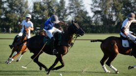 Imagen de WhatsApp 2023-08-18 a las 11.16.24