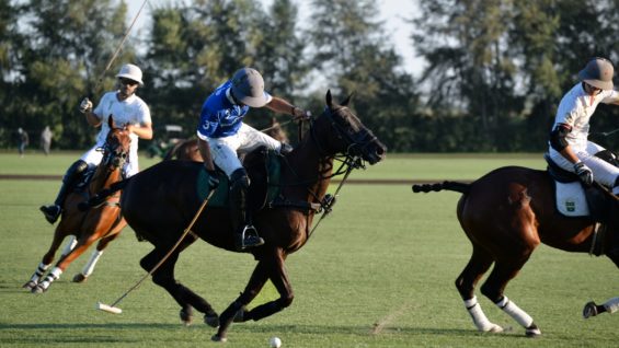 Imagen de WhatsApp 2023-08-18 a las 11.16.24