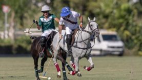 WhatsApp Image 2023-08-02 at 13.16.52