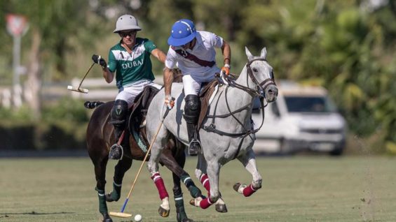 WhatsApp Image 2023-08-02 at 13.16.52