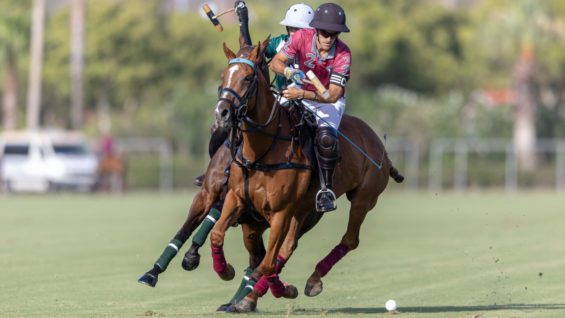 WhatsApp Image 2023-08-04 at 23.12.36 (1)