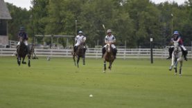 WhatsApp Image 2023-08-18 at 11.16.23