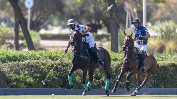 WhatsApp Image 2023-08-24 at 23.25.12