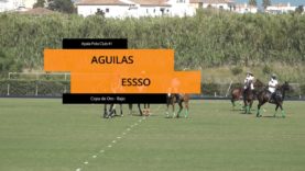 Copa de Oro 2023 Bajo –  Aguilas vs Essso