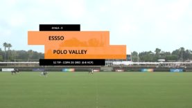 Copa de Oro 2023 Bajo – Esso vs Polo Valley