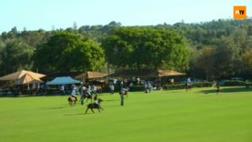 Copa De Plata Alto highlights – MB Polo Team vs Dos Lunas