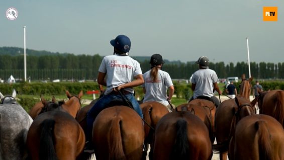 Deauville – Los Dragones vs Mungo