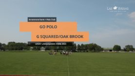 Great Lakes Final – Go Polo v G Squared/Oak Brook