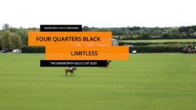 The Emsworth Gold Cup 2023 – Four Quarters Black vs Limitless