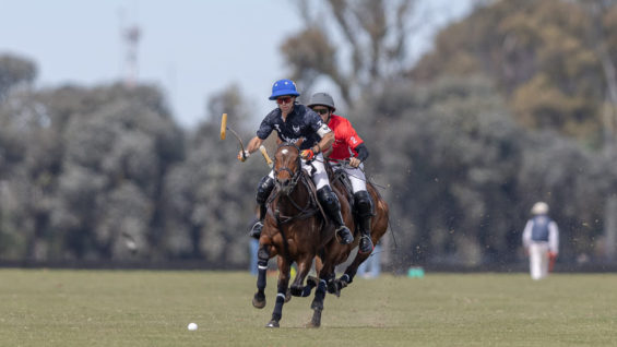 WhatsApp Image 2023-09-14 at 12.02.43