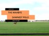 Kings Polo Gold Cup 2023 – The Wahbys vs Sawinest Polo