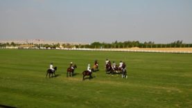 Vas Masters Cup 2023 – Mangroovy vs Kings Polo