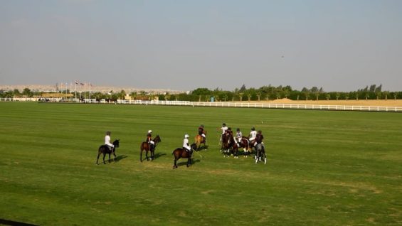 Vas Masters Cup 2023 – Mangroovy vs Kings Polo