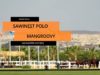 VAS Masters Cup 2023 – Sawinest Polo vs Mangroovy