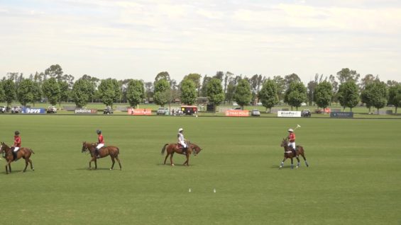 Thai Polo Cup 2023 – Animales vs Amadeus