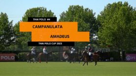 Thai Polo Cup 2023 – Campanulata vs Amadeus