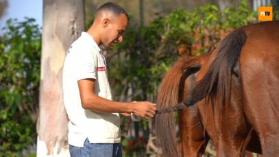 Throne Cup 2023 – Highlights – Final