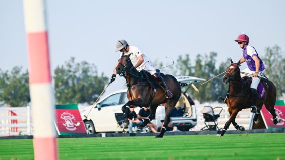 WhatsApp Image 2024-02-28 at 22.10.35