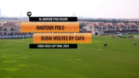 Dubai Gold Cup Final 2024 – Habtoor Polo vs Dubai Wolves