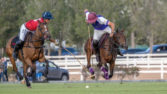 WhatsApp Image 2024-03-04 at 09.50.34